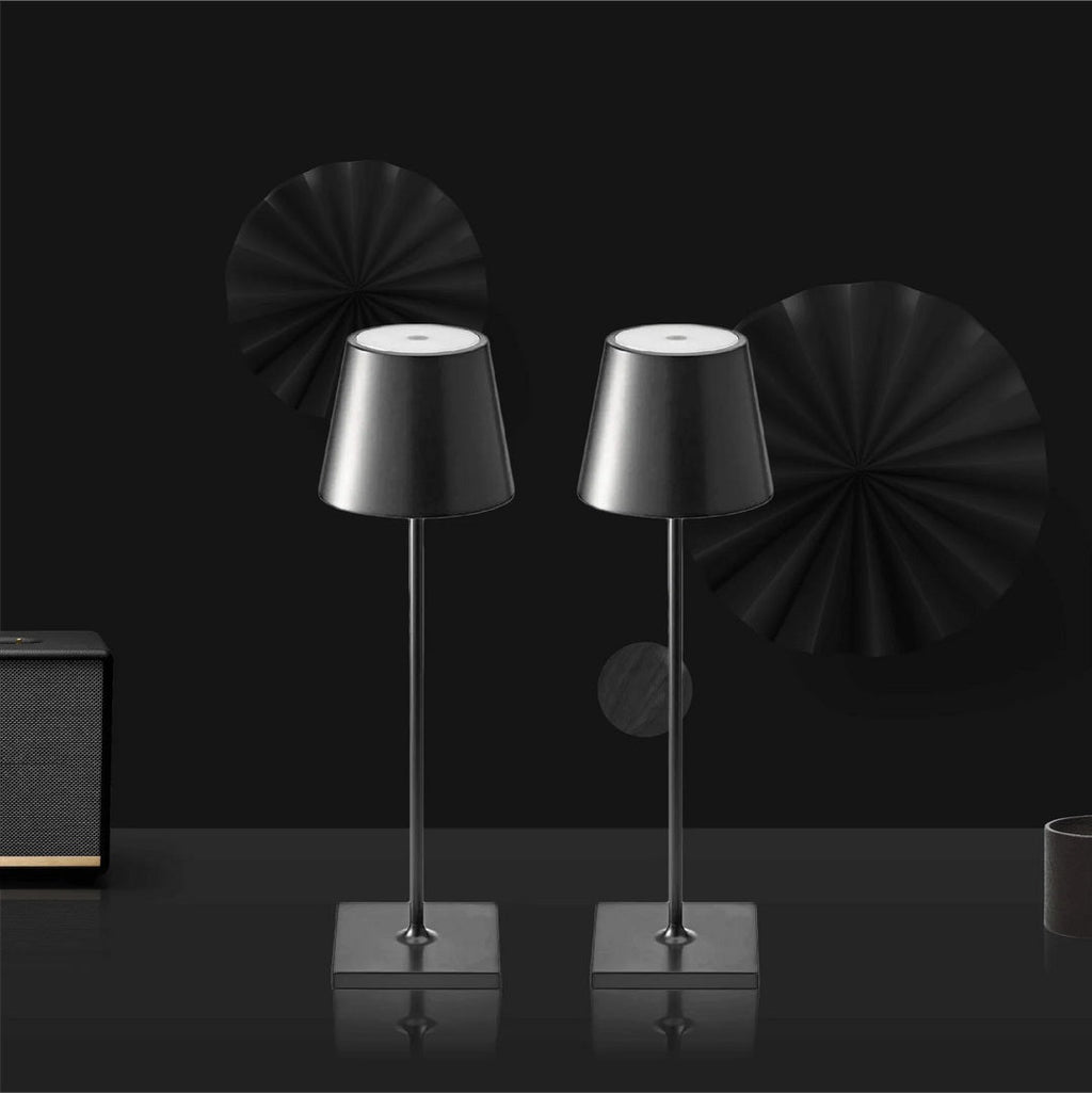 Cordless Rechargeable LED Accent Table Lamp