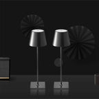 Cordless Rechargeable LED Accent Table Lamp