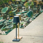 Cordless Rechargeable LED Accent Table Lamp