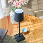 Cordless Rechargeable LED Accent Table Lamp