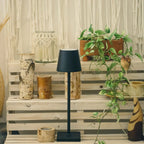 Cordless Rechargeable LED Accent Table Lamp