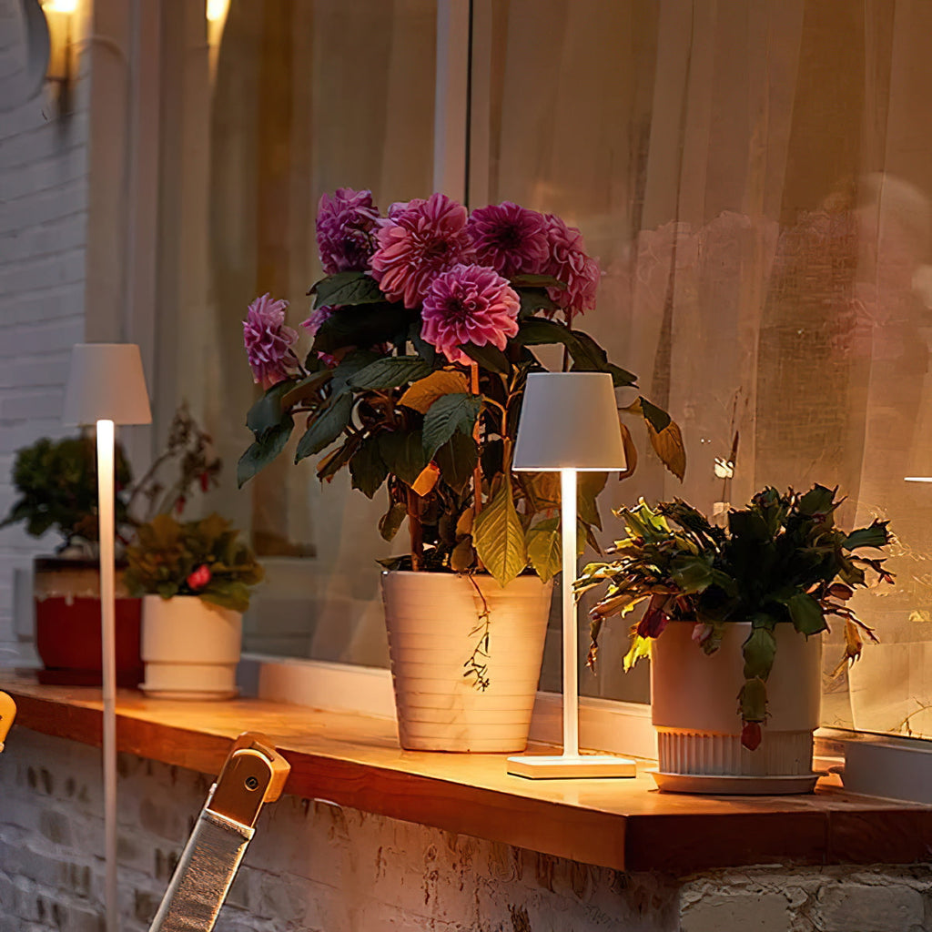 Cordless Rechargeable LED Accent Table Lamp