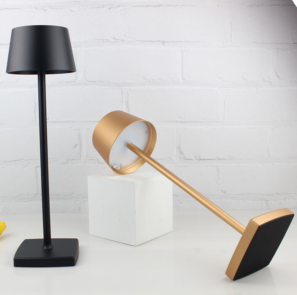 Cordless Rechargeable LED Accent Table Lamp