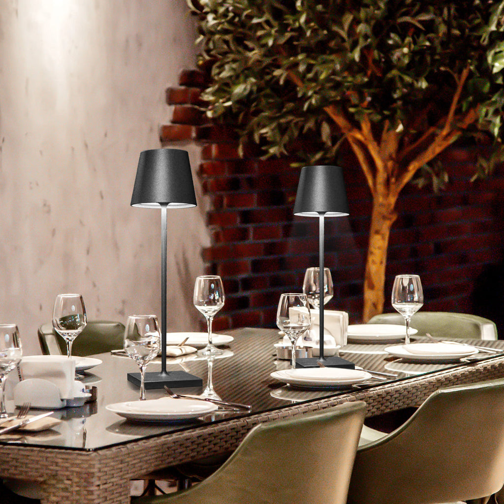Cordless Rechargeable LED Accent Table Lamp