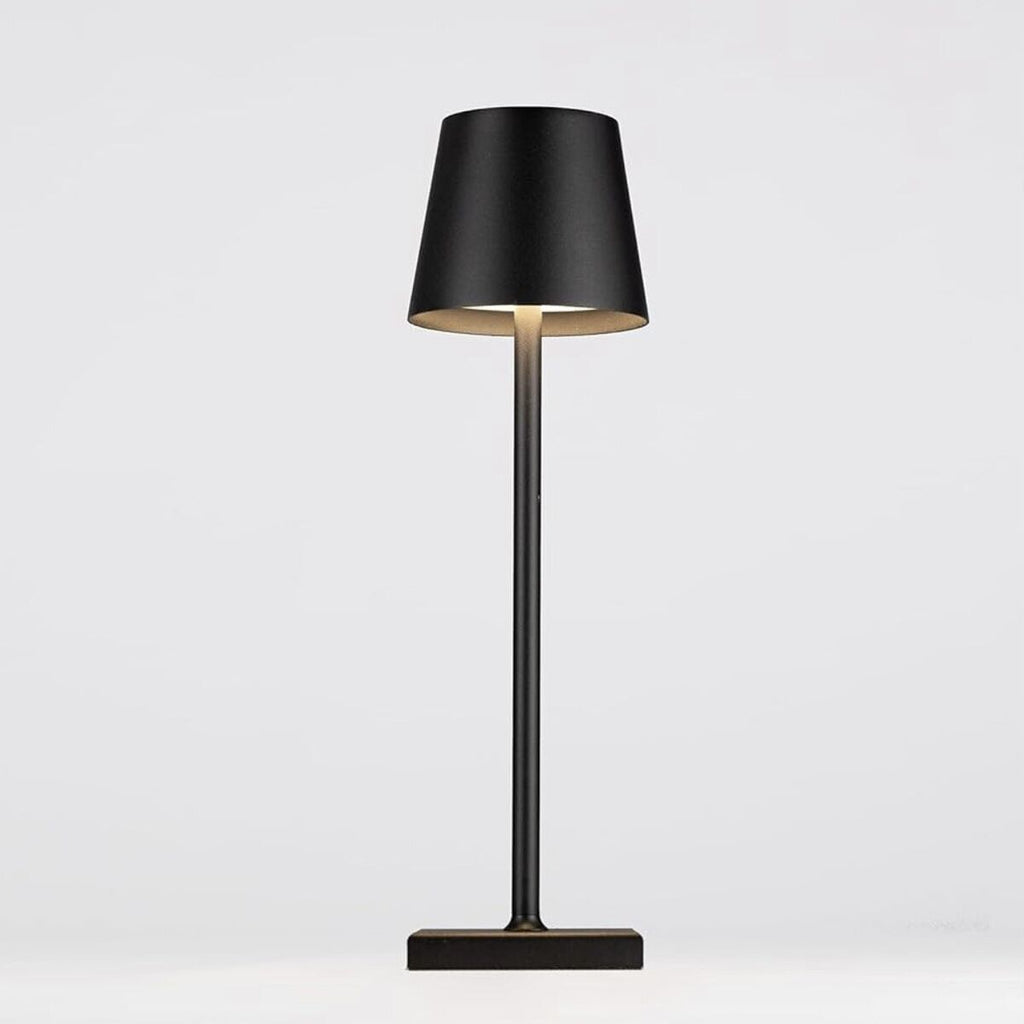 Cordless Rechargeable LED Accent Table Lamp