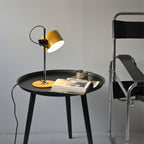 Coupe Adjustable Dome Table Lamp