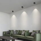 Alira - Adjustable Cylinder Built-in LED Ceiling Lamp