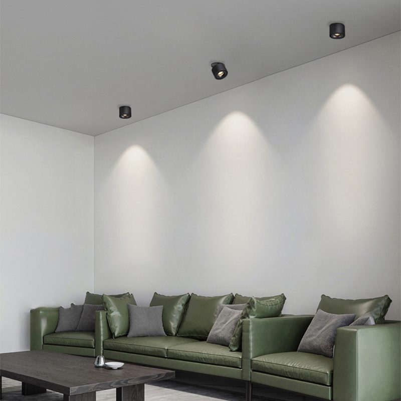 Alira - Adjustable Cylinder Built-in LED Ceiling Lamp