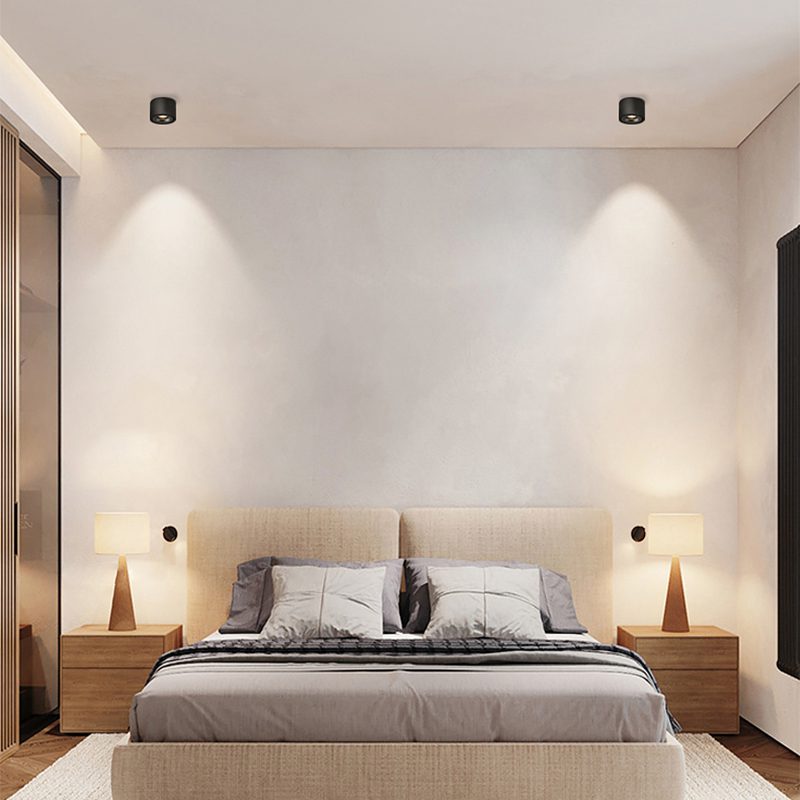 Alira - Adjustable Cylinder Built-in LED Ceiling Lamp
