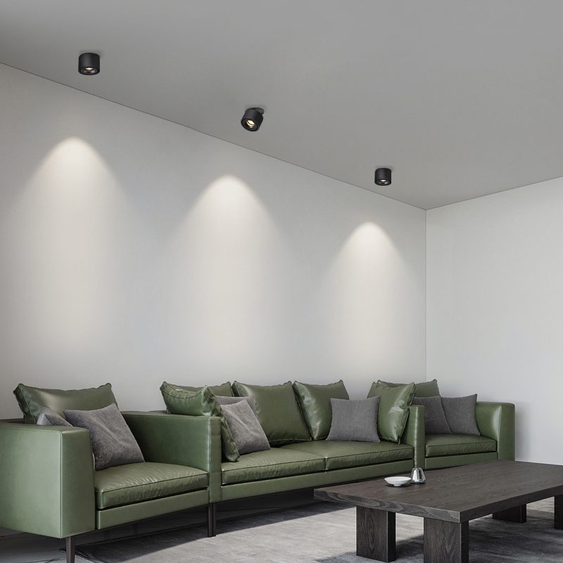 Alira - Adjustable Cylinder Built-in LED Ceiling Lamp