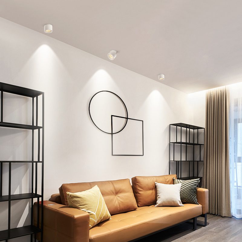 Alira - Adjustable Cylinder Built-in LED Ceiling Lamp