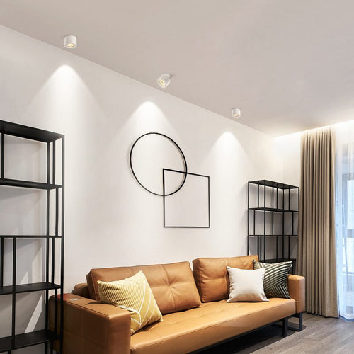 Alira - Adjustable Cylinder Built-in LED Ceiling Lamp