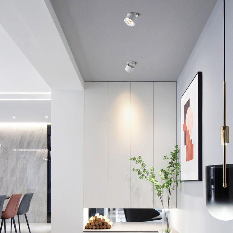Alira - Adjustable Cylinder Built-in LED Ceiling Lamp