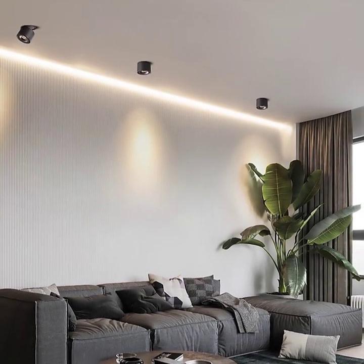Alira - Adjustable Cylinder Built-in LED Ceiling Lamp