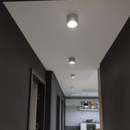 Alira - Adjustable Cylinder Built-in LED Ceiling Lamp