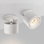 Alira - Adjustable Cylinder Built-in LED Ceiling Lamp