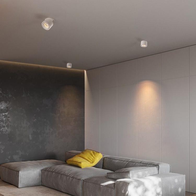 Alira - Adjustable Cylinder Built-in LED Ceiling Lamp