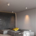 Alira - Adjustable Cylinder Built-in LED Ceiling Lamp