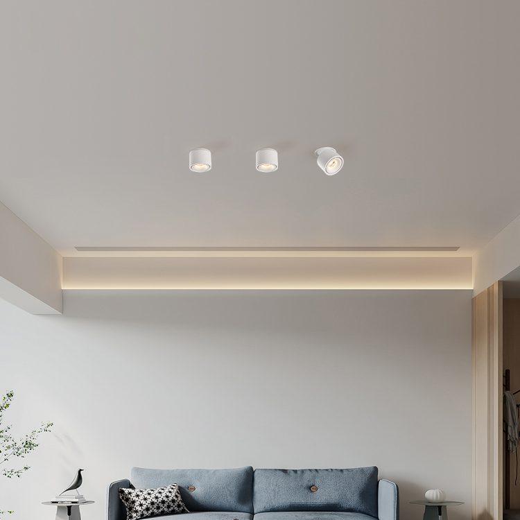 Alira - Adjustable Cylinder Built-in LED Ceiling Lamp
