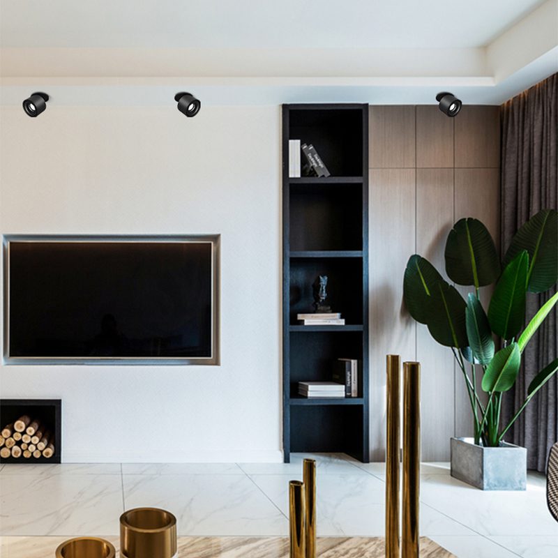 Alira - Adjustable Cylinder Built-in LED Ceiling Lamp