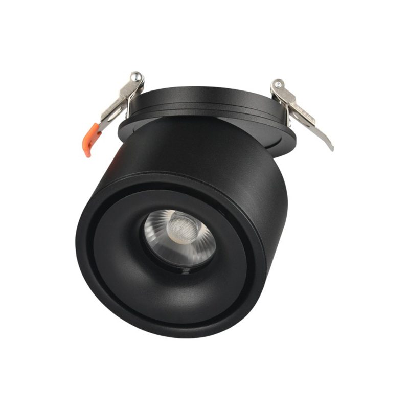 Alira - Adjustable Cylinder Built-in LED Ceiling Lamp