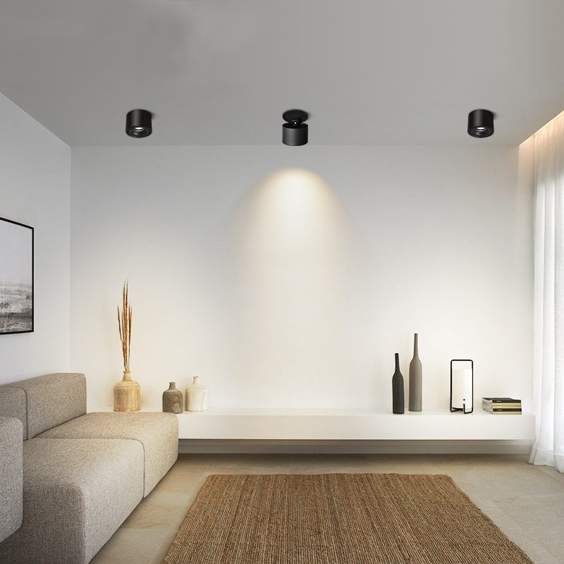 Alira - Adjustable Cylinder Built-in LED Ceiling Lamp