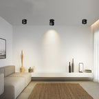 Alira - Adjustable Cylinder Built-in LED Ceiling Lamp