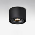 Alira - Adjustable Cylinder Built-in LED Ceiling Lamp
