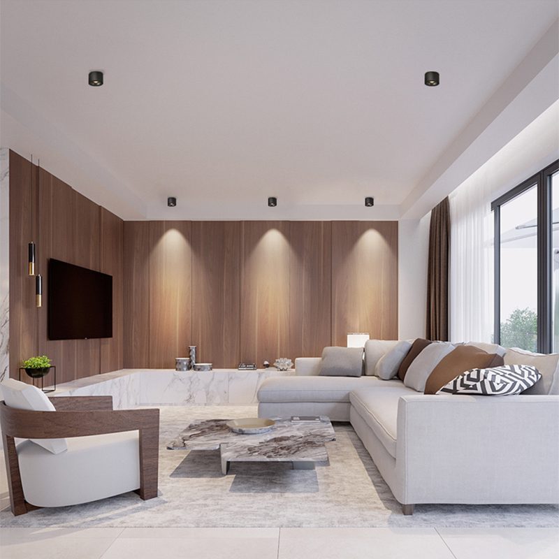 Alira - Adjustable Cylinder Built-in LED Ceiling Lamp