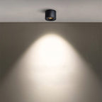 Alira - Adjustable Cylinder Built-in LED Ceiling Lamp