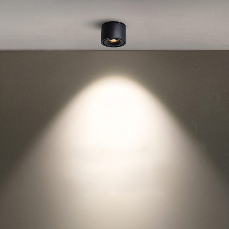 Alira - Adjustable Cylinder Built-in LED Ceiling Lamp