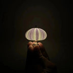 Miniature Night Light, Natural Sea Urchin Shell, Gold-Plated Metal Base, Button Cell Powered