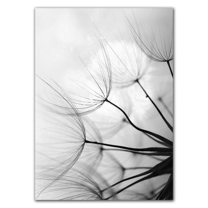 Canvas Print Cotton Matte Finish Dandelion Design Unframed