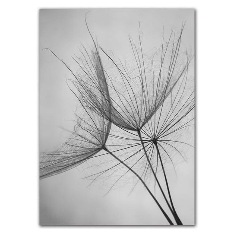 Canvas Print Cotton Matte Finish Dandelion Design Unframed