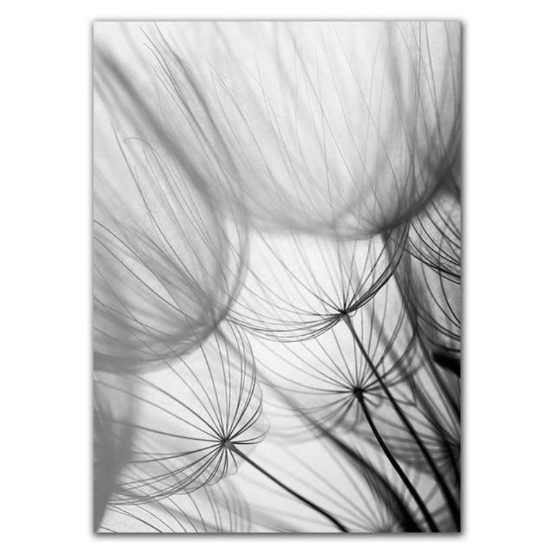 Canvas Print Cotton Matte Finish Dandelion Design Unframed