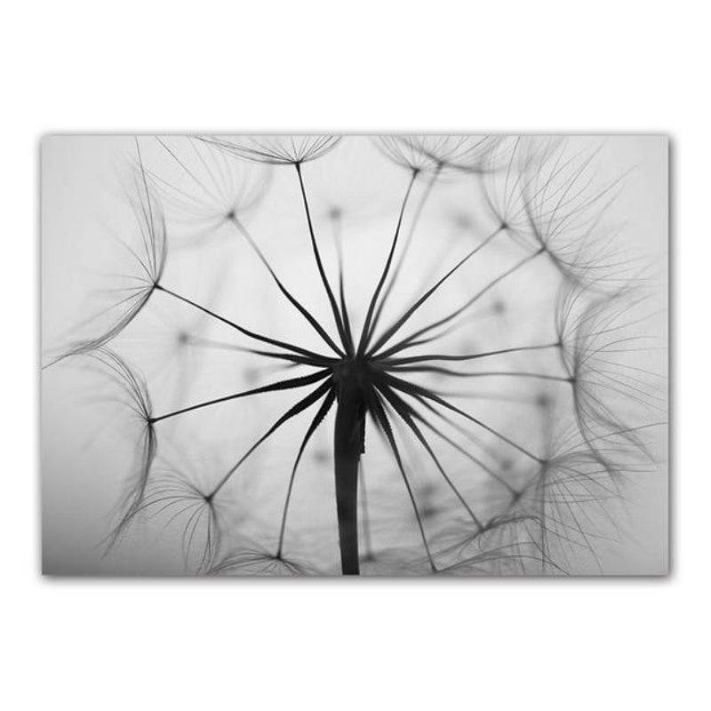 Canvas Print Cotton Matte Finish Dandelion Design Unframed