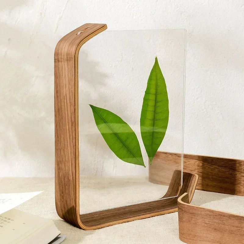 Double-Sided Tabletop Photo Frame, Wood and Acrylic Panel