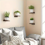 DarkRoom: Wooden Wall Shelves – Stylish, Durable & Hanging in Farmhouse Style for Living Rooms & Bedrooms