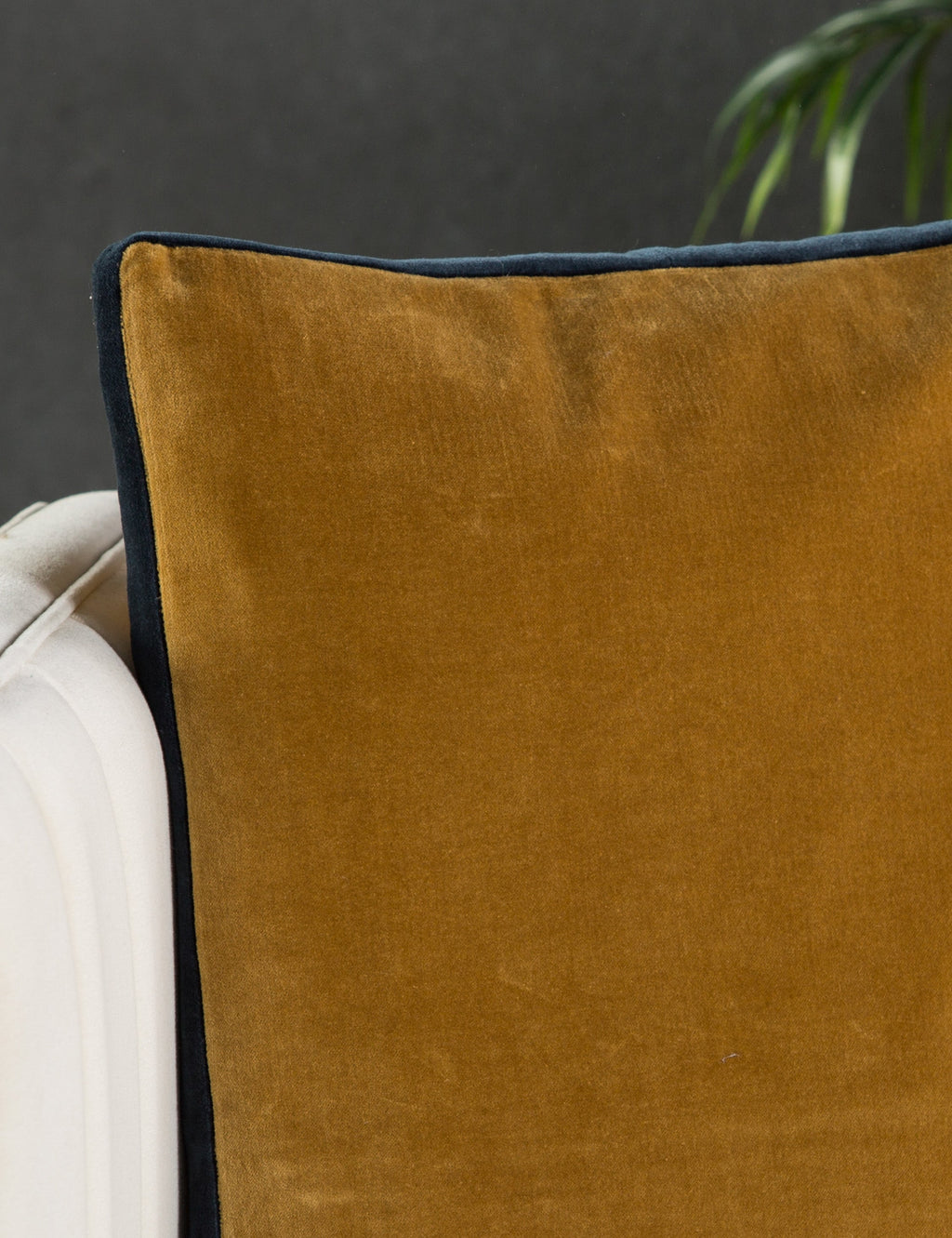 Cleo Throw Pillow | Velvet with Piping Detail
