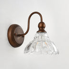 Antique Bronze Gooseneck Glass Wall Sconce