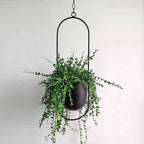 Breeze Hanging Planter | Minimalist Iron Design, Wall or Ceiling Mount