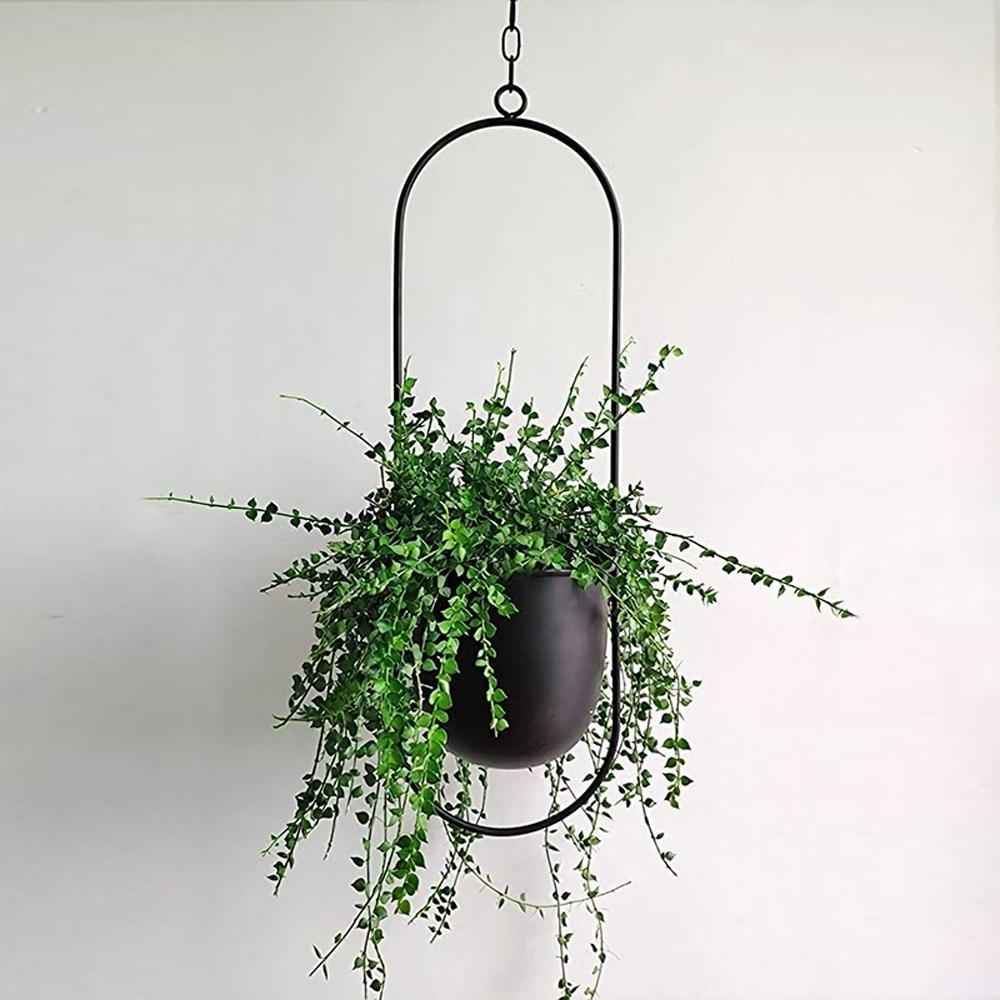 Breeze Hanging Planter | Minimalist Iron Design, Wall or Ceiling Mount
