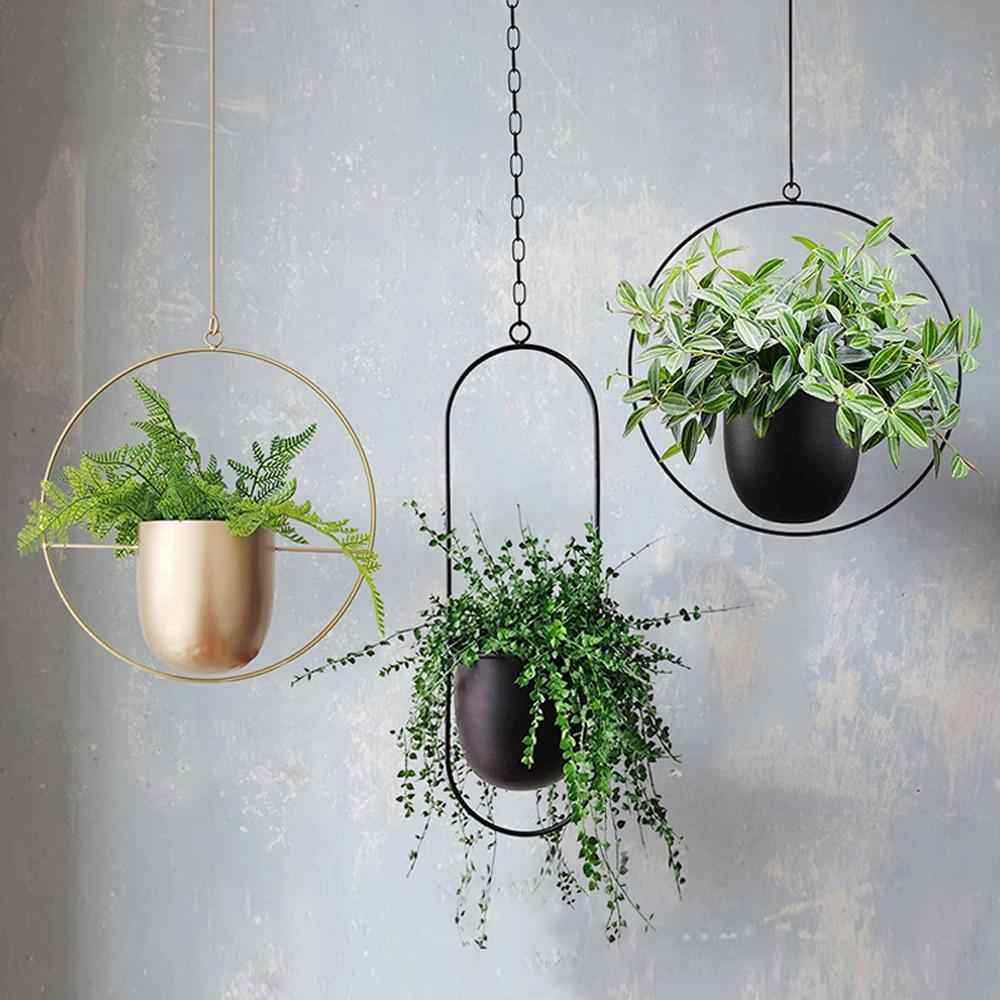 Breeze Hanging Planter | Minimalist Iron Design, Wall or Ceiling Mount