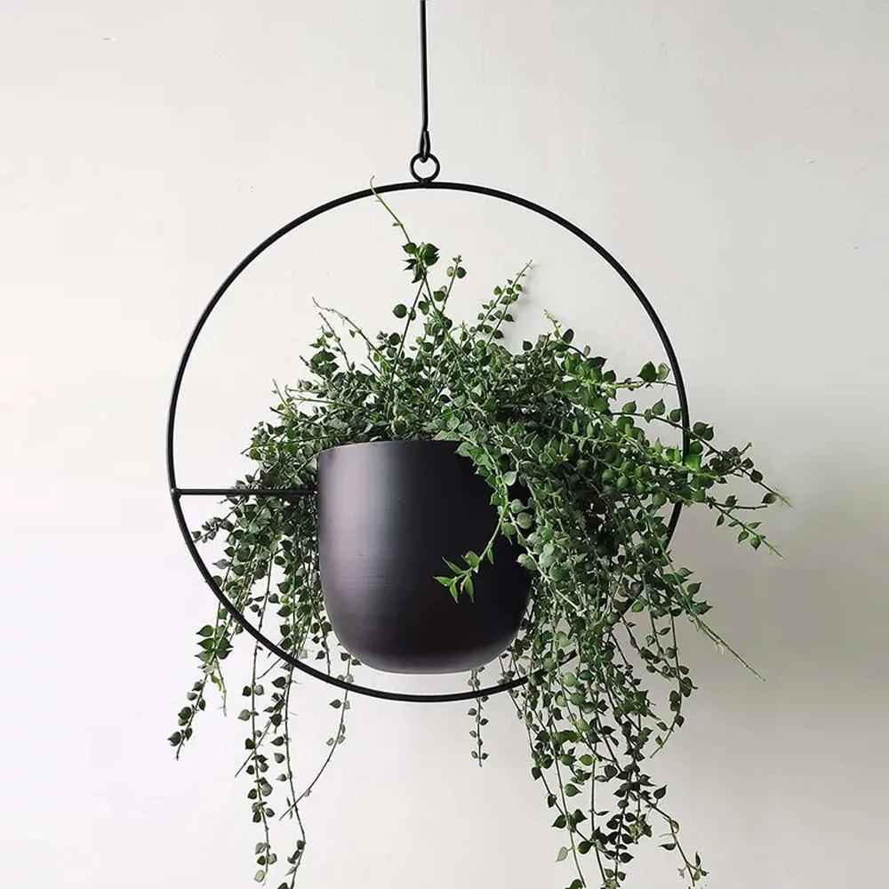 Breeze Hanging Planter | Minimalist Iron Design, Wall or Ceiling Mount