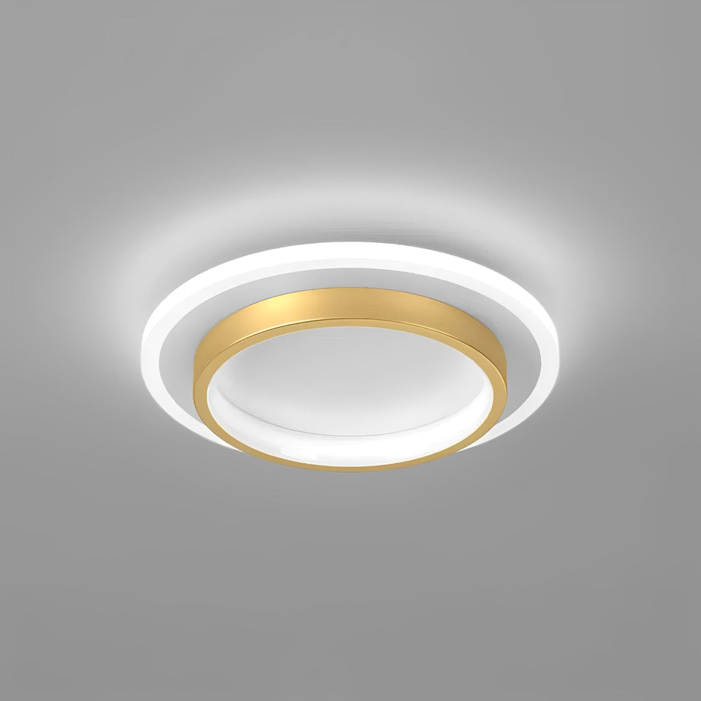 Ceiling Light Round Acrylic Built In LED Warm White Indoor Fixture