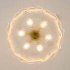 Four-Leaf Clover Glass Ceiling Light
