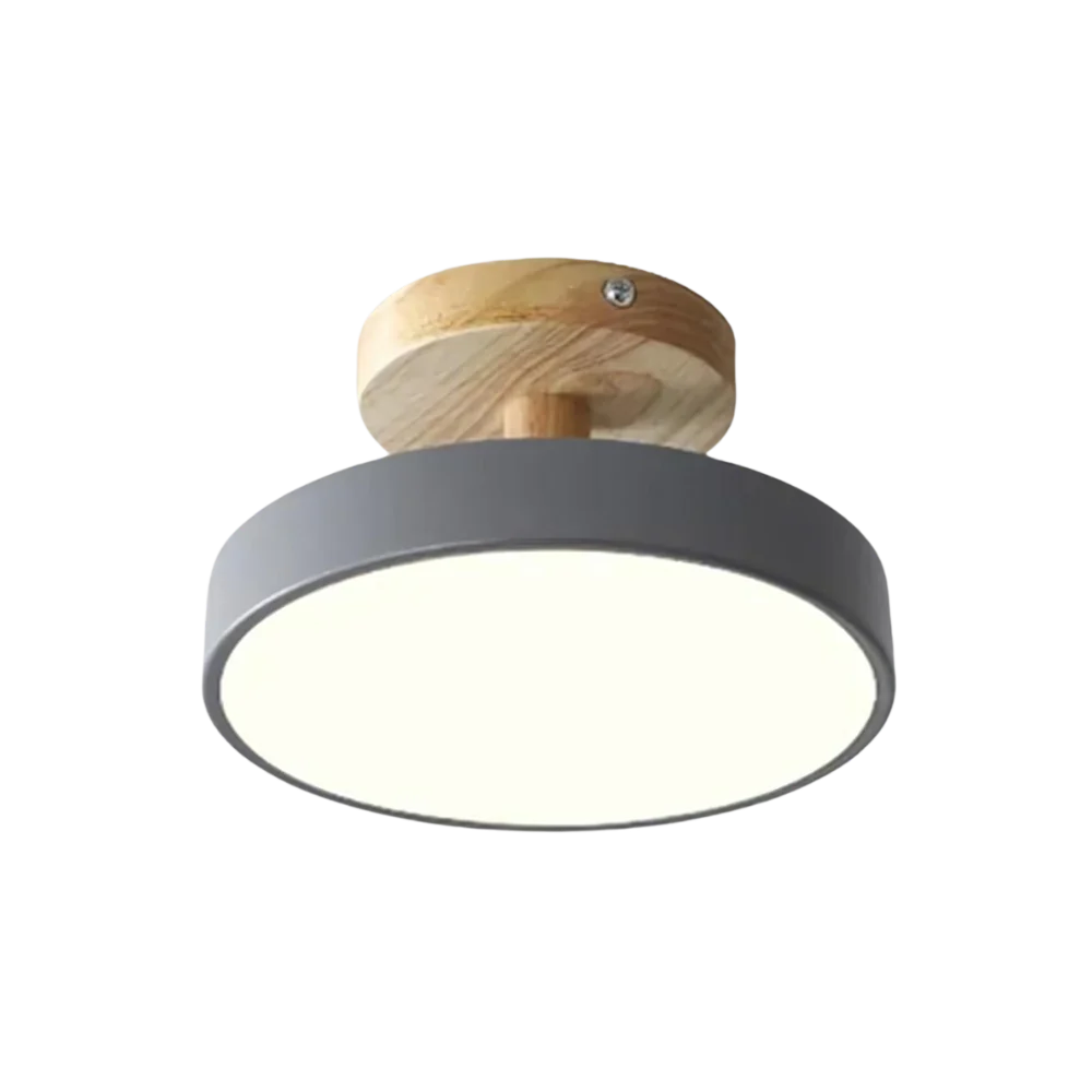 Soreia - Compact Modern LED Ceiling Light