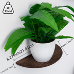 HalfMoon: Wooden Wall Shelves – Set of 2, Semi-Round & Floating for Plants & Decor in the Living Room