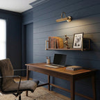 Halcyon Swan-Neck Adjustable Picture Wall Light