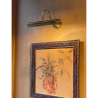Halcyon Swan-Neck Adjustable Picture Wall Light